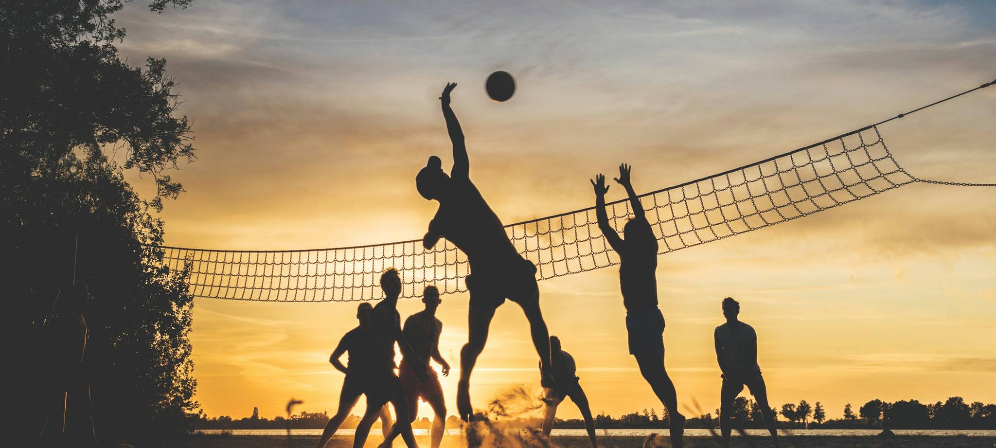 LEYU乐鱼官网首页 - 体育赛事聚合娱乐平台