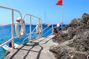 乐鱼体育在线官网-海湾者未来青训体系逐渐完善，海湾技术